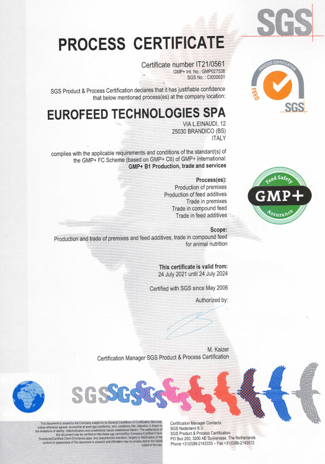 certificazione GMP Eurofeed - certification GMP